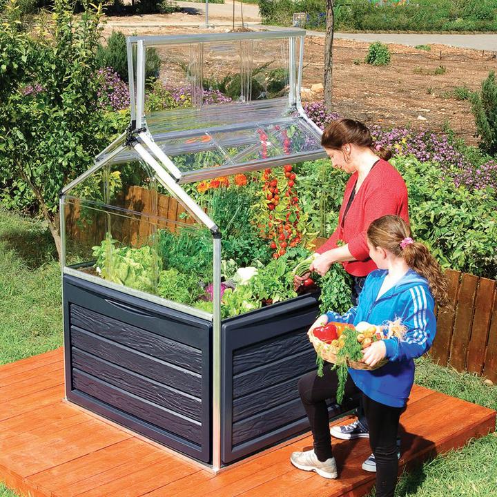 Image du produit Palram Crystal