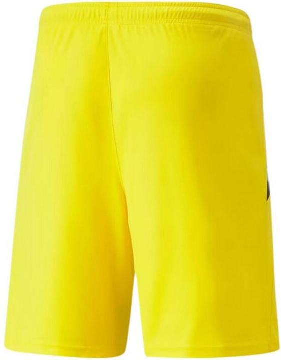 Produktbild Puma TeamLIGA Shorts (S)