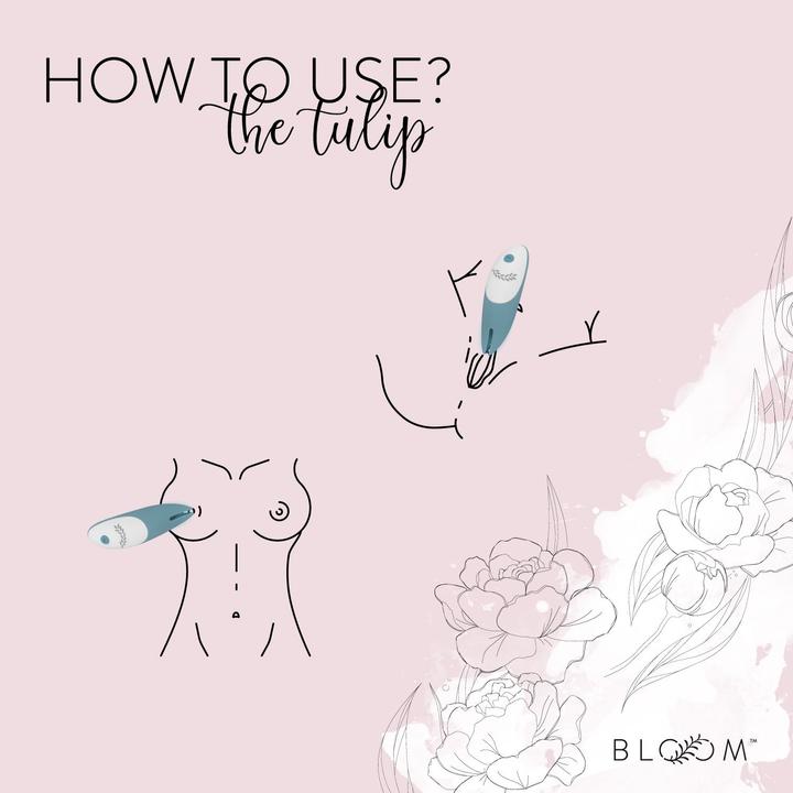 Actual product image Bloom Tulip