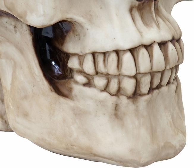 Produktbild Swisshandel24 Totenkopf (52 x 52 x 55 cm)