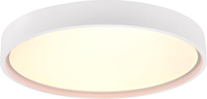 Image du produit Trio 641310231 LED-DL DOHA 29W 3260lm (3260 lm)