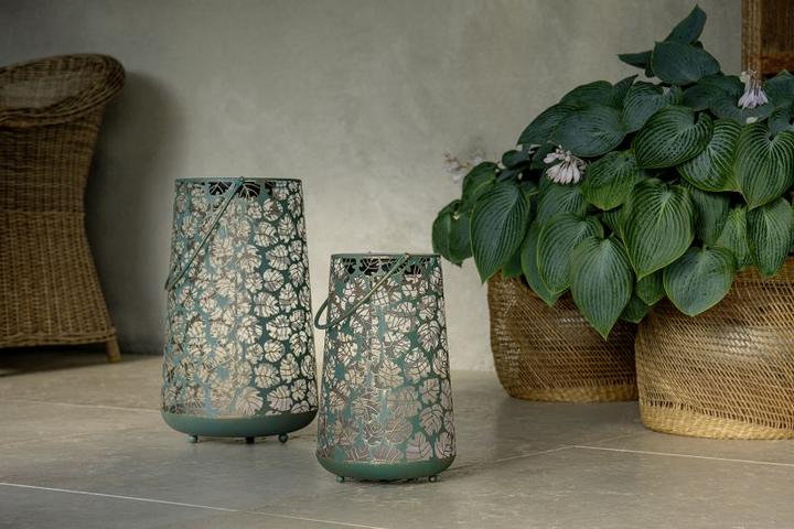 Image du produit STT Antic Monstera