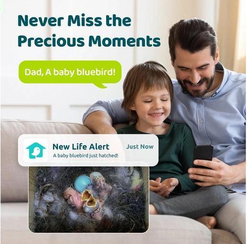 Actual product image Birdfy Vogelhaus Nistkasten mit Kamera und Solar