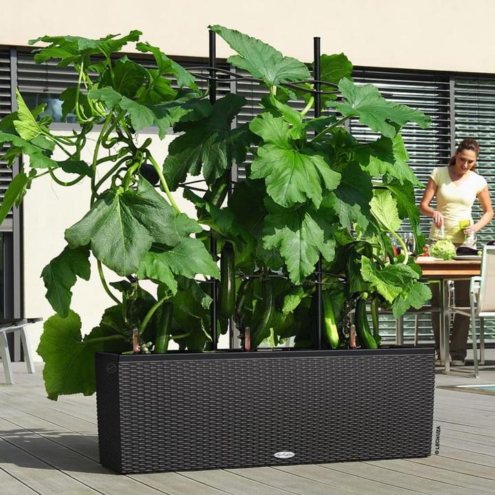 Actual product image Lechuza Trio Cottage (32 cm)
