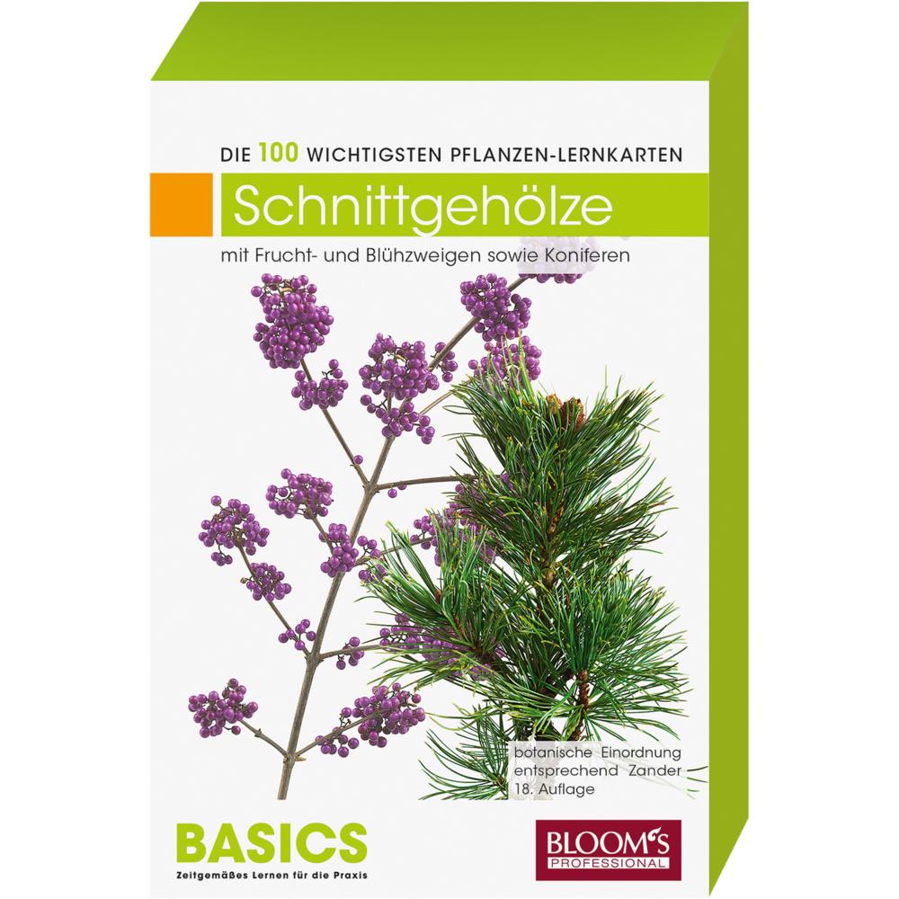 Pflanzen-Lernkarten, Die 100 wichtigsten Schnittgehölze, Schulbücher von Karl-Michael Haake