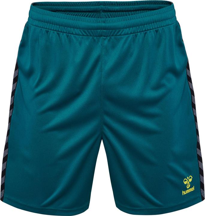 Image du produit hummel Hmlauthentic Pl Shorts (3XL)