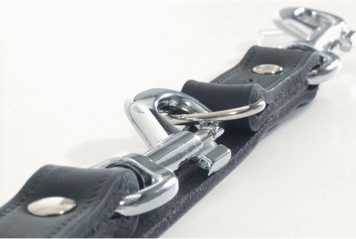 Actual product image Beeztees Dog leash (Dog)