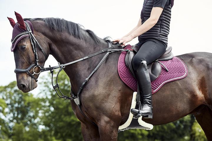 Image du produit Horse Guard Dian