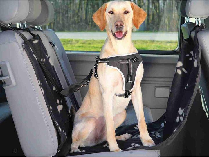 Produktbild Trixie Auto-Schondecke (Hund, Reflektoren, Waschmaschinenfest)