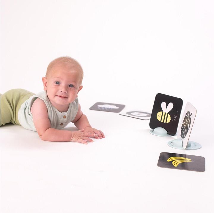 Immagine prodotto Taf Toys Le mie prime carte da gioco