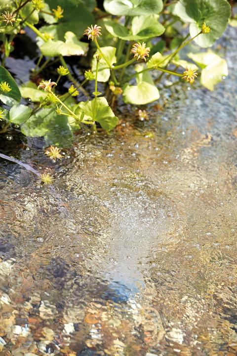 Image du produit Oase AquaOxy 1000