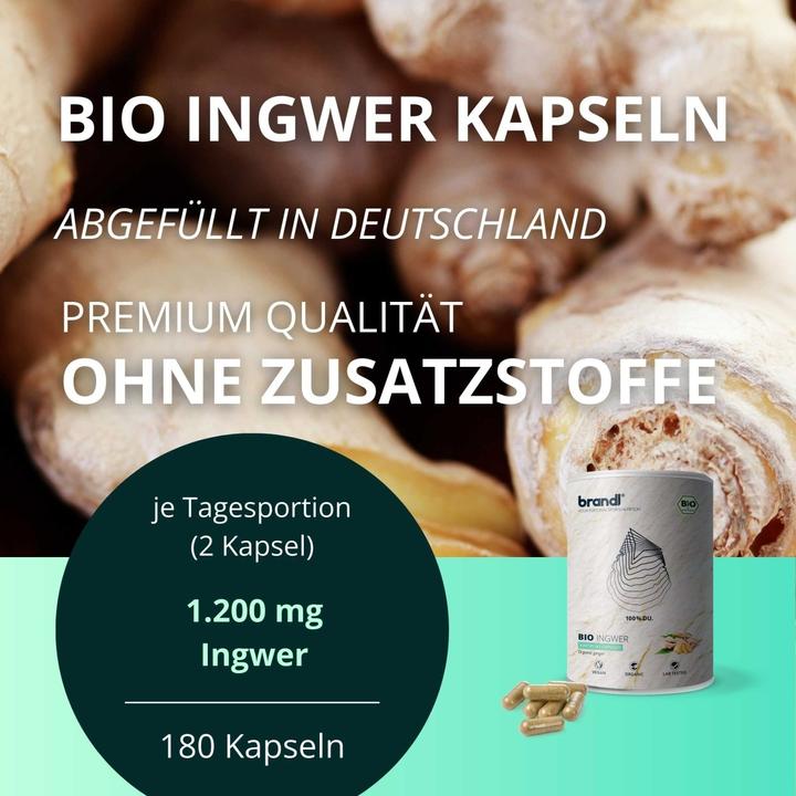 Actual product image Brandl Bio Ingwer (Ginger) (1 Piece, Capsules, 85 g)