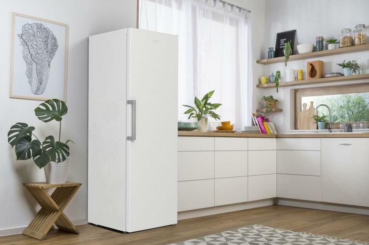 Actual product image Gorenje R619EEW5 (398 l)