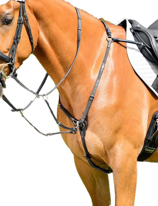 Image du produit Collegiate - Plastron avec martingale de course COMFITEC OPULUX