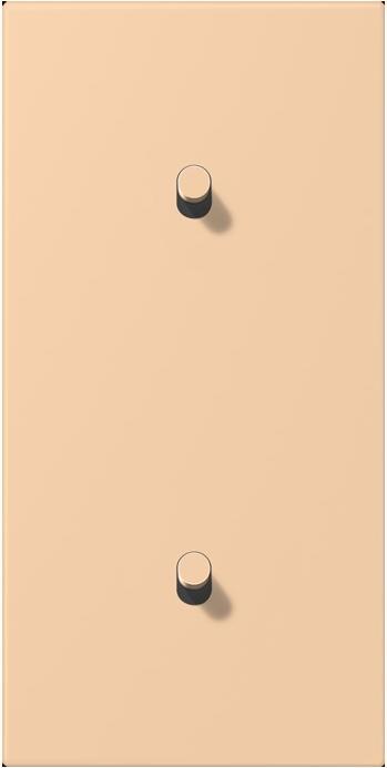 Actual product image JUNG Cover with toggle lever