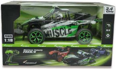 Produktbild Amewi Sandbuggy Extreme D5 (RTR Ready-to-Run)