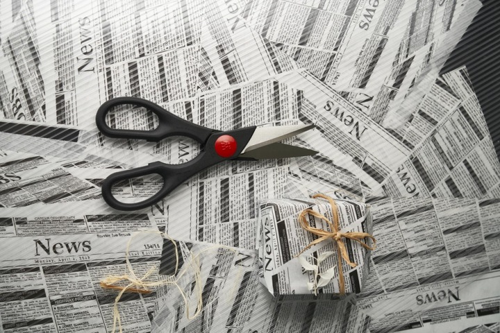 Actual product image Zwilling Multipurpose scissors Twin (20 cm)