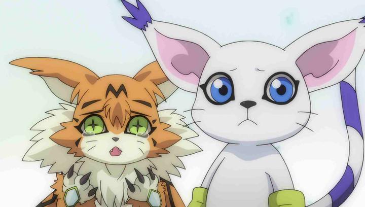 Actual product image Digimon Adventure tri. - Our Future Chapter 6 (DVD) (DVD, 2019, German, Japanese)