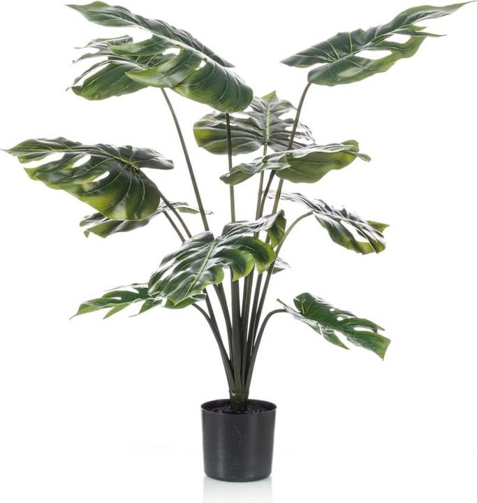 Immagine prodotto Emerald Monstera-Pflanze (98 cm)