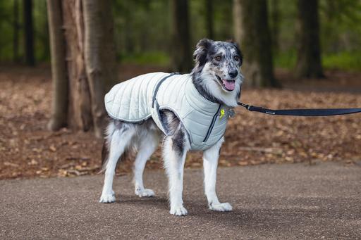 Actual product image Beeztees Bz Dog Coat Bobby Taupe 48 (48, Dog coat)
