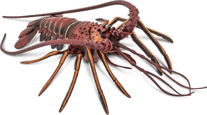 Produktbild Safari Languste