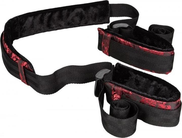 Image du produit CalExotics Scandal Bicep Restraint