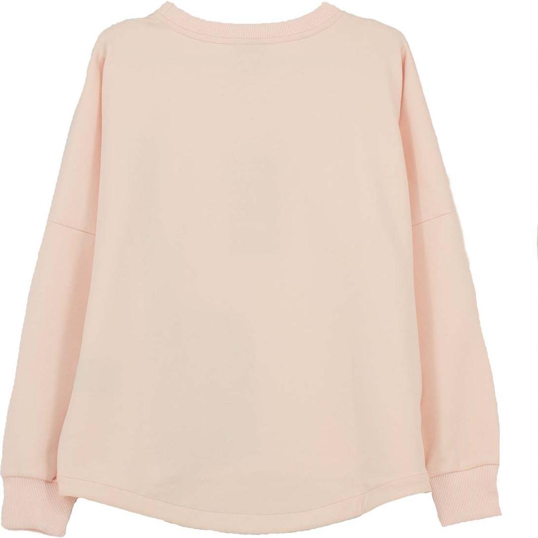 Thumbnail - Jack Wolfskin, Herren, Pullover, Mercury Sweater 1707411-2074, Rosa, (S)