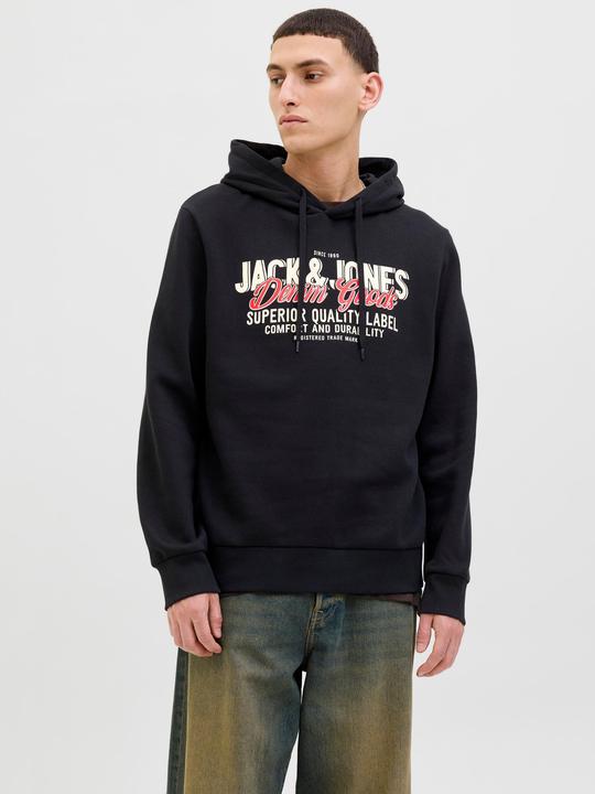Actual product image Jack & Jones JJELOGO SWEAT HOOD 2 COL 25/26 NOOS (L)