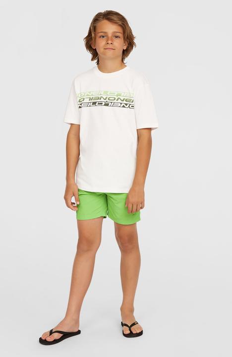 Actual product image O'Neill VERT 14" SWIMSHORTS (140)