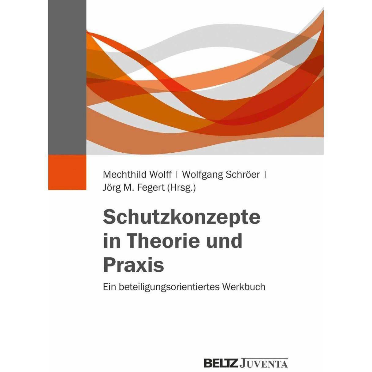 Thumbnail - Schutzkonzepte in Theorie und Praxis, Fachbücher von Wolfgang Schröer, Jörg. M. Fegert, Mechthild Wolff, Johannes-Wilhel...