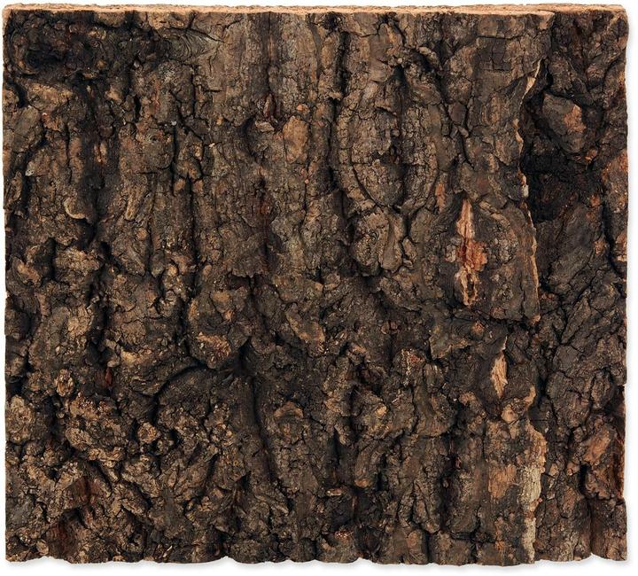 Productafbeelding Repti Planet Kurk achterwand 19 x 17,3 x 2 cm