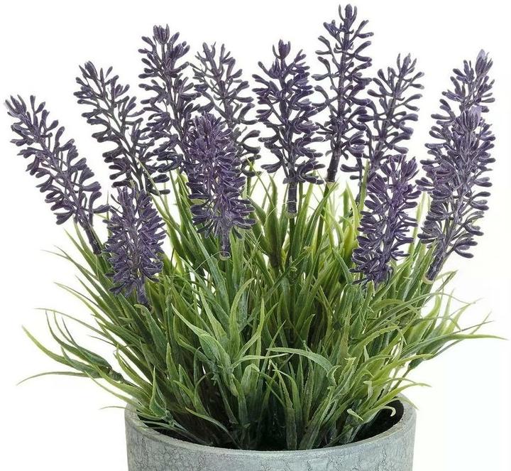 Actual product image Dekomat Lavender (22 cm)