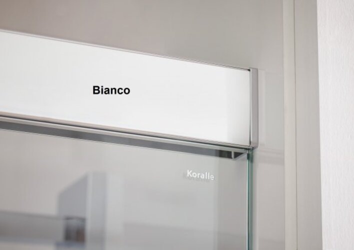 Actual product image Koralle S600Plus Sliding door in niche DSN2 140 L, fixed element left, 1400mm (91.30 cm, 208.80 cm, 25.20 cm)