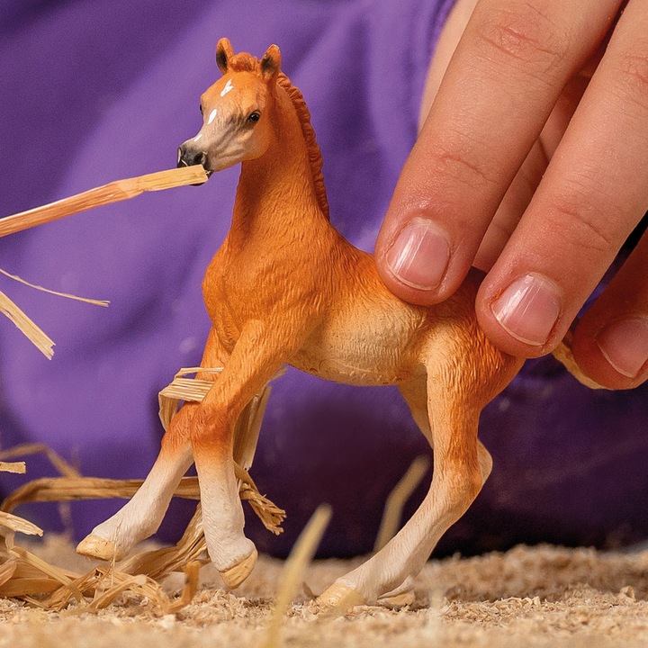 Produktbild Schleich Araber Fohlen