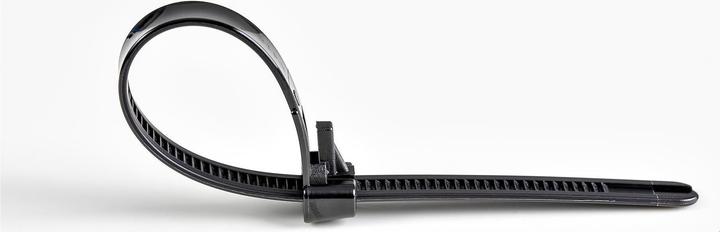 Actual product image StarTech 20cm(8") Reusable Cable Ties, 7mm(1/4") wide, 50mm(1-7/8") Bundle Dia. 22kg(50lb (Plastic cable ties, 200 mm, 100 pcs.)