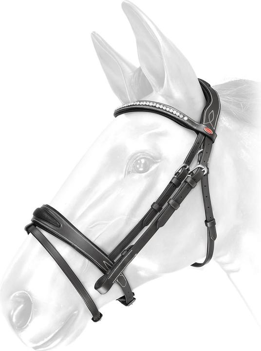 Image du produit - Bride avec rênes pour chevaux CHICAGO