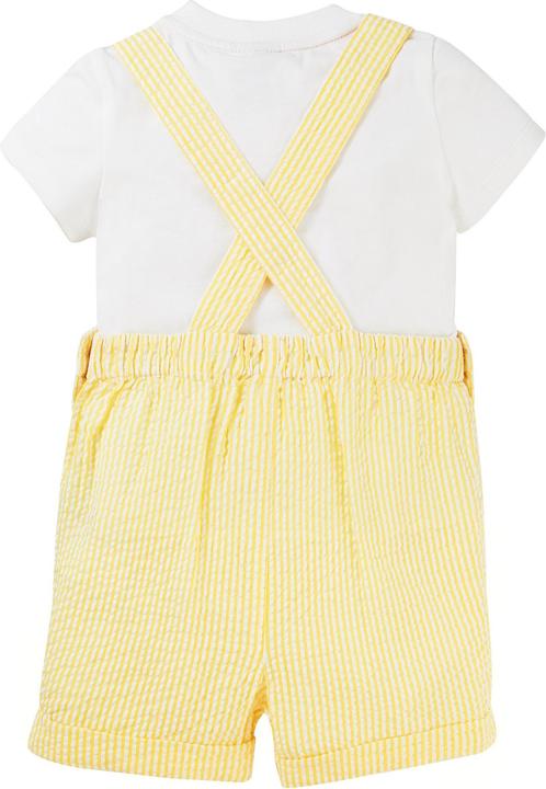Actual product image Frugi Toddler dungarees set Godrevy (86, 92)