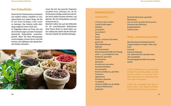 Image du produit Ayurvedisches Heilfasten (Allemand, Ellen Ertner, Traudel Ertner, 2023)