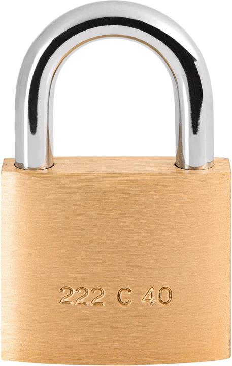 Productafbeelding Burg Wächter Cilinderslot 222 40 Slothuis breedte 40 mm Messing anders sleutel