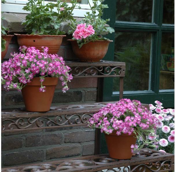 Actual product image Esschert Design Ianthina