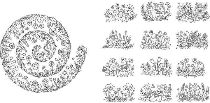 Produktbild Wundervolle Wildblumen