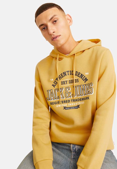 Produktbild Jack & Jones JJELOGO SWEAT HOOD 2 COL 24/25 NOOS (M)