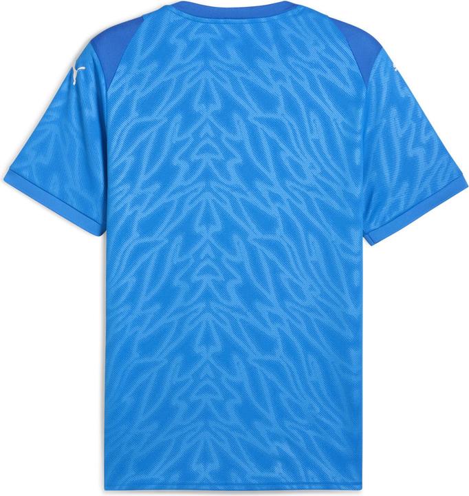 Immagine prodotto Puma Maglia TeamCUP (L)