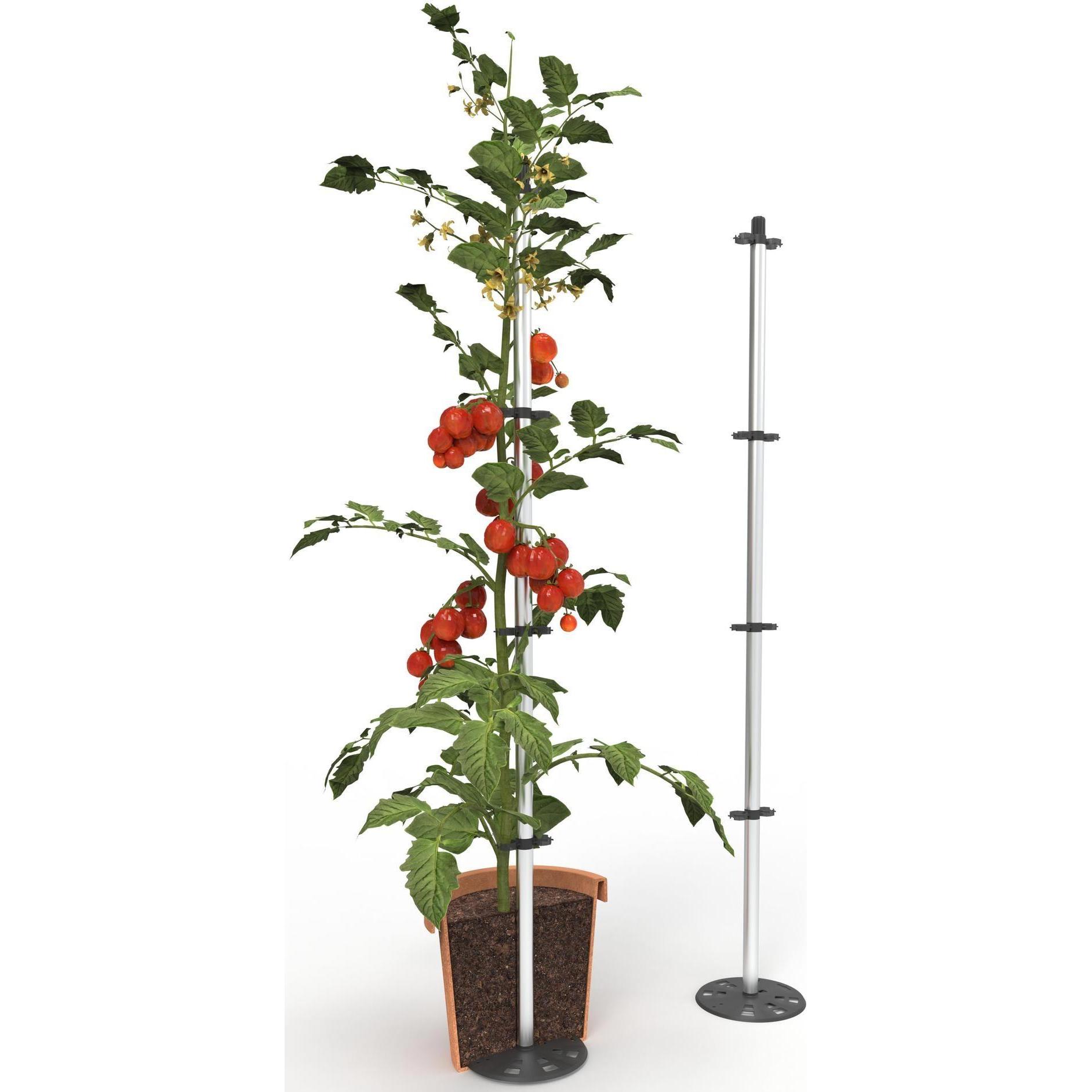 Thumbnail - Gusta Garden, Blumentopf, Anzuchtset TOMATO BUDDY Starter, 3er Set (18 cm)
