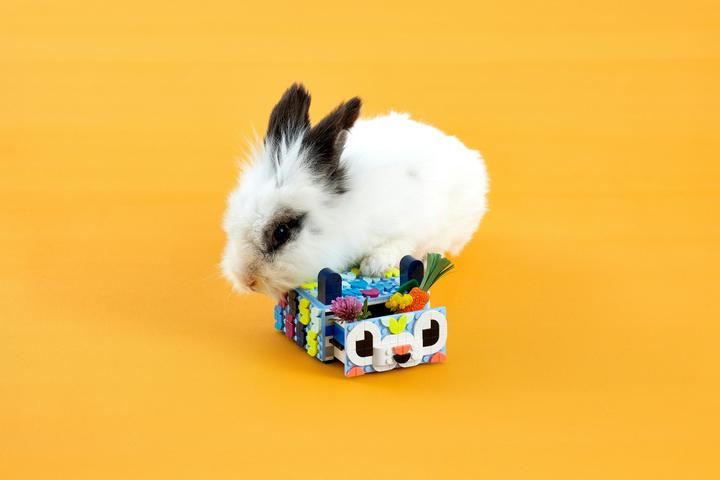 Actual product image LEGO Animal Creative Box with Drawer (41805, LEGO Dots)