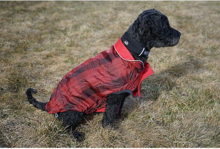 Produktbild Canada Pooch Go Fresh Pet - Reversible Rain jacket Scarlet Red L 46cm (46, Hundeschwimmweste)