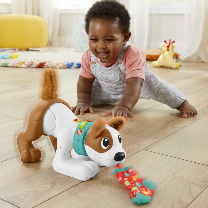Image du produit Fisher-Price 123 Crawl With Me Puppy-DU