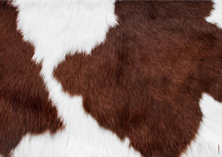 Image du produit Trendform Mooh (42 x 29.70 cm)