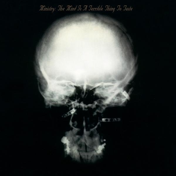 The Mind Is A Terrible Thing To Taste (Expanded Ed, Vinili