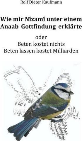 Produktbild Wie mir Nîzamî unter einem Anaab Gottfindung erklärte (Rolf Dieter Kaufmann, 2017)